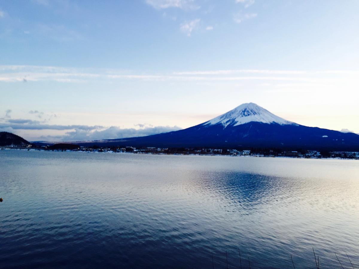 Mt Fuji Cat&Dog&Spa Pension Blue Poppy Fujikawaguchiko Exterior foto