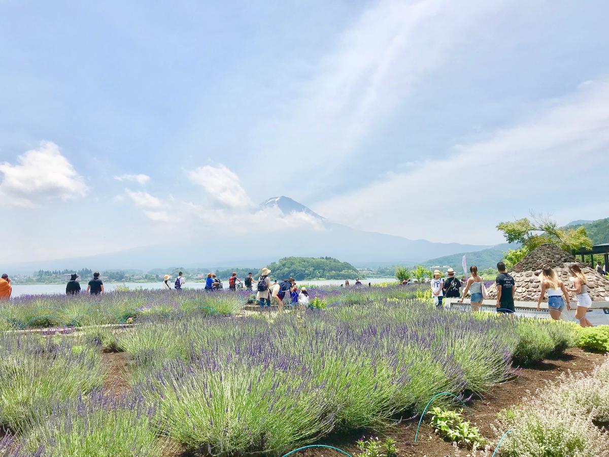 Mt Fuji Cat&Dog&Spa Pension Blue Poppy Fujikawaguchiko Exterior foto