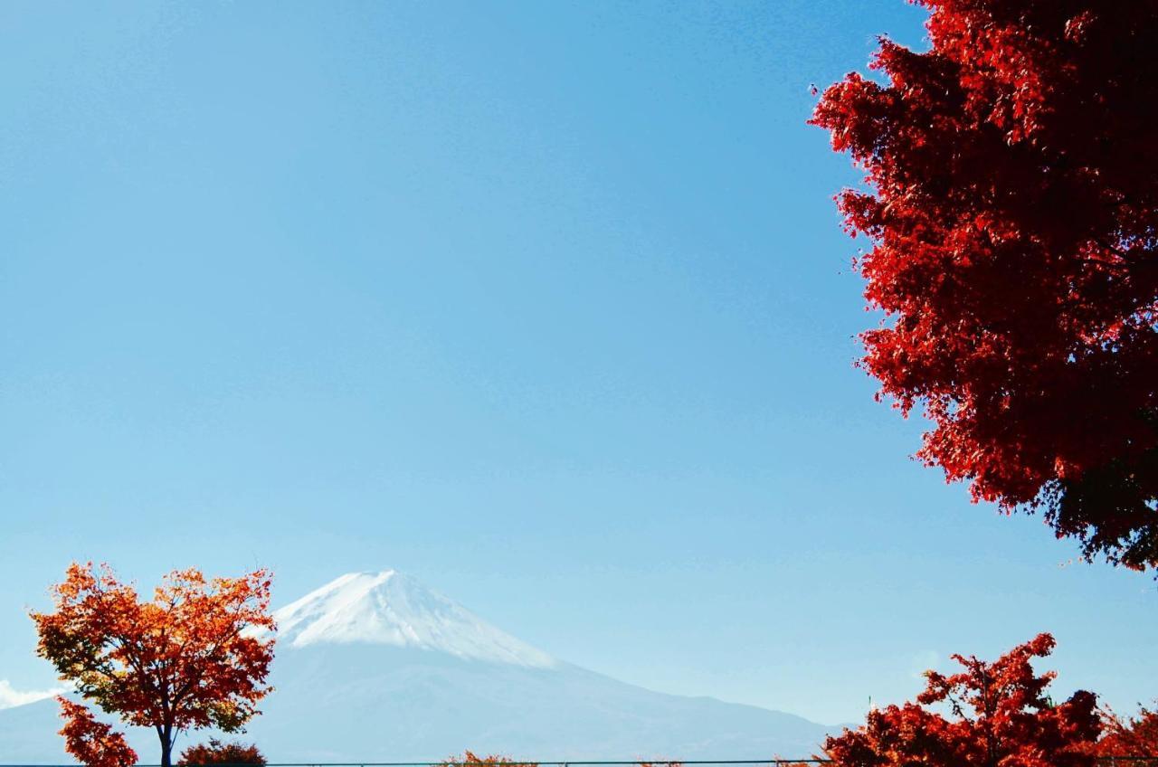 Mt Fuji Cat&Dog&Spa Pension Blue Poppy Fujikawaguchiko Exterior foto