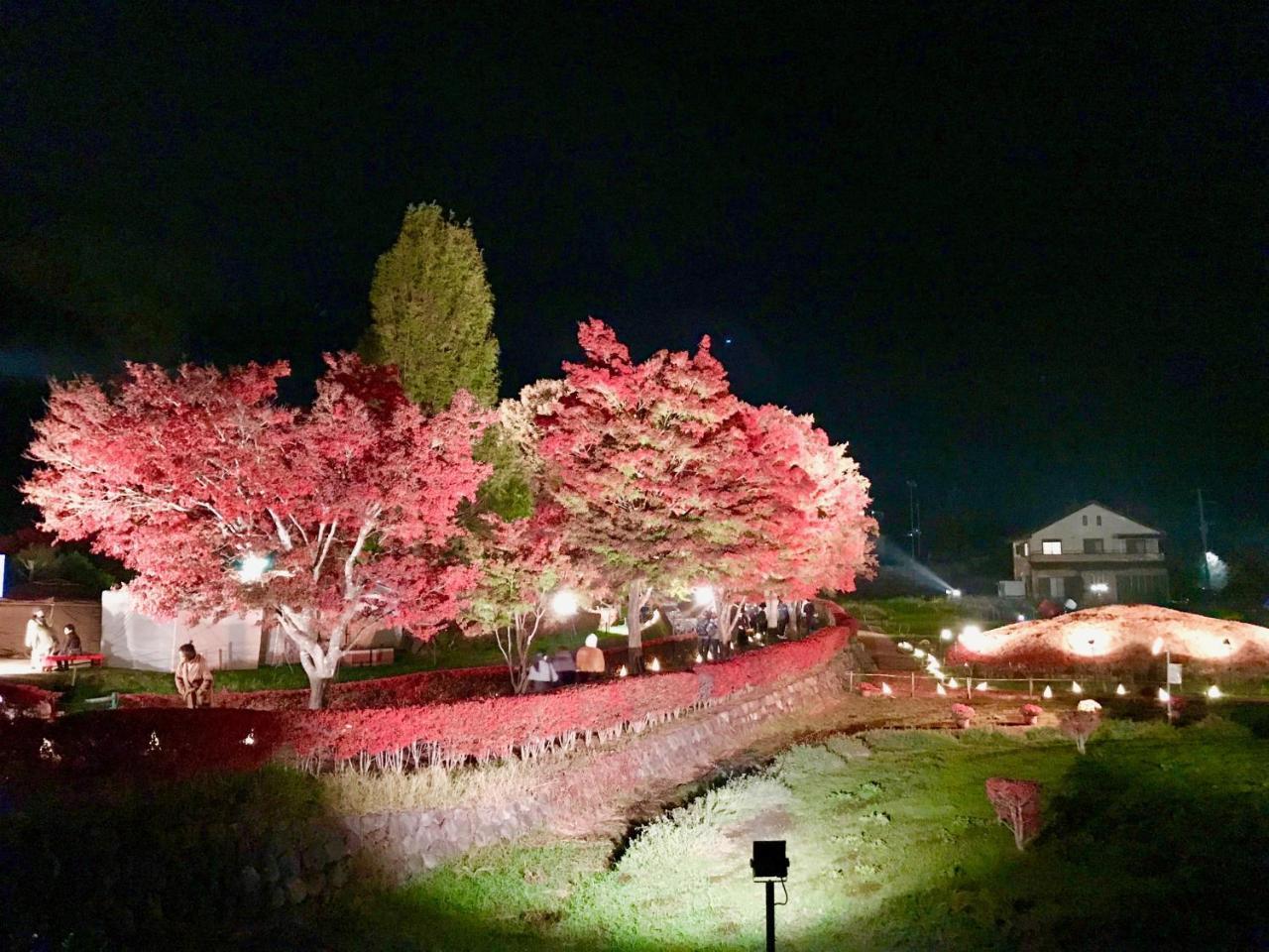 Mt Fuji Cat&Dog&Spa Pension Blue Poppy Fujikawaguchiko Exterior foto