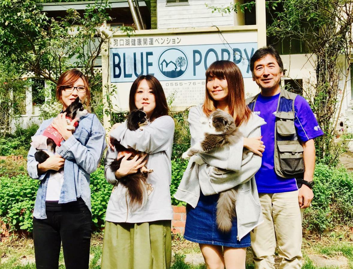 Mt Fuji Cat&Dog&Spa Pension Blue Poppy Fujikawaguchiko Exterior foto