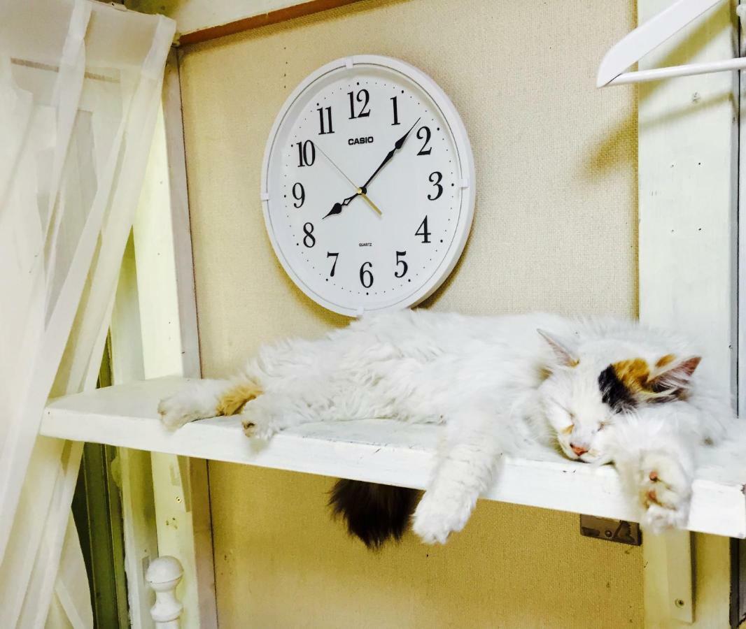 Mt Fuji Cat&Dog&Spa Pension Blue Poppy Fujikawaguchiko Exterior foto