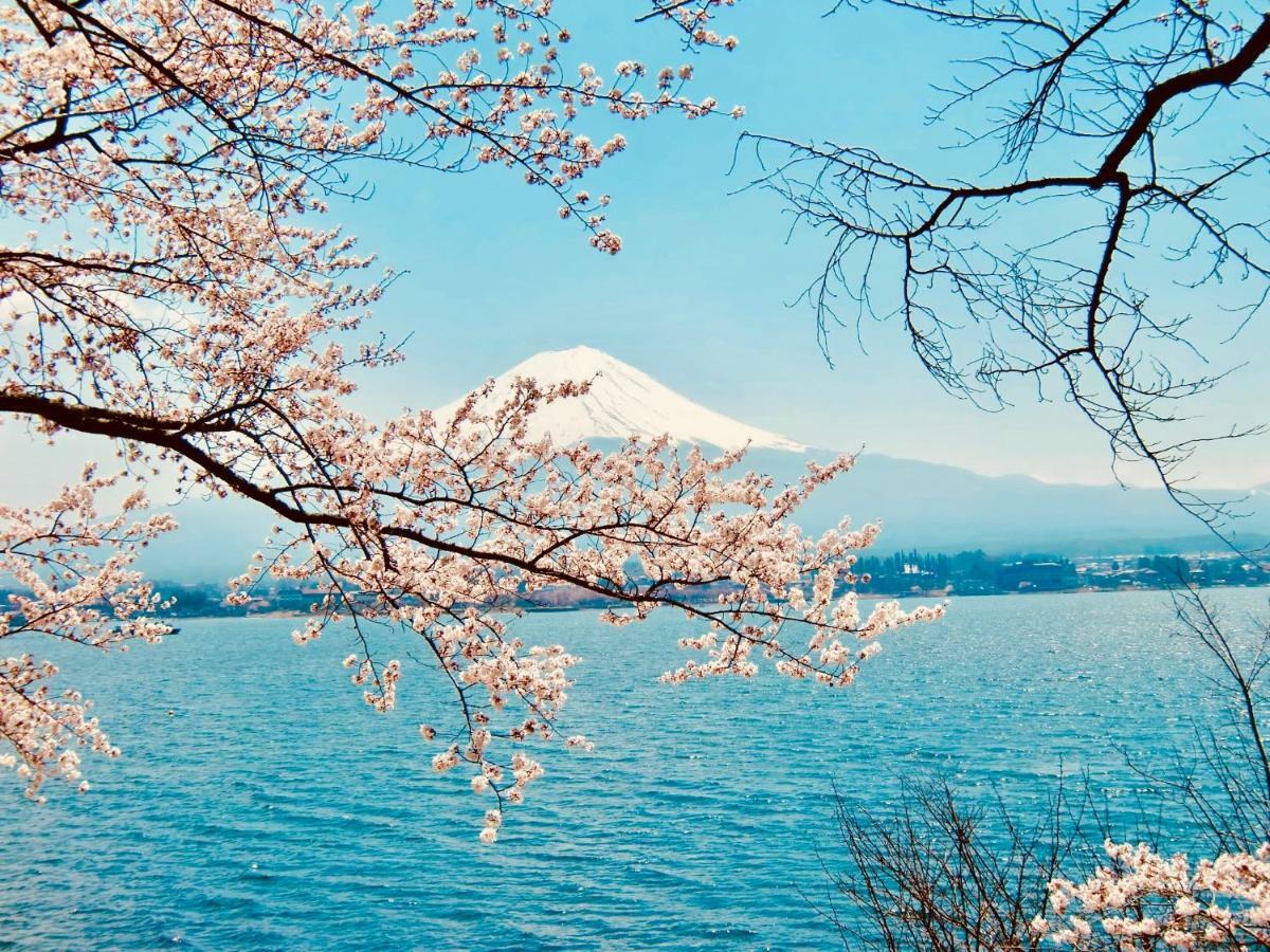 Mt Fuji Cat&Dog&Spa Pension Blue Poppy Fujikawaguchiko Exterior foto