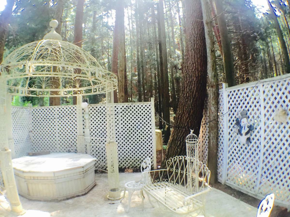 Mt Fuji Cat&Dog&Spa Pension Blue Poppy Fujikawaguchiko Exterior foto