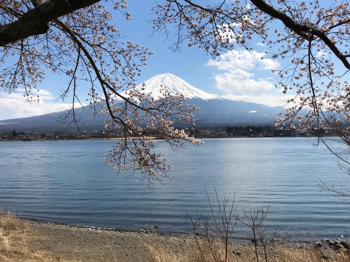 Mt Fuji Cat&Dog&Spa Pension Blue Poppy Fujikawaguchiko Exterior foto