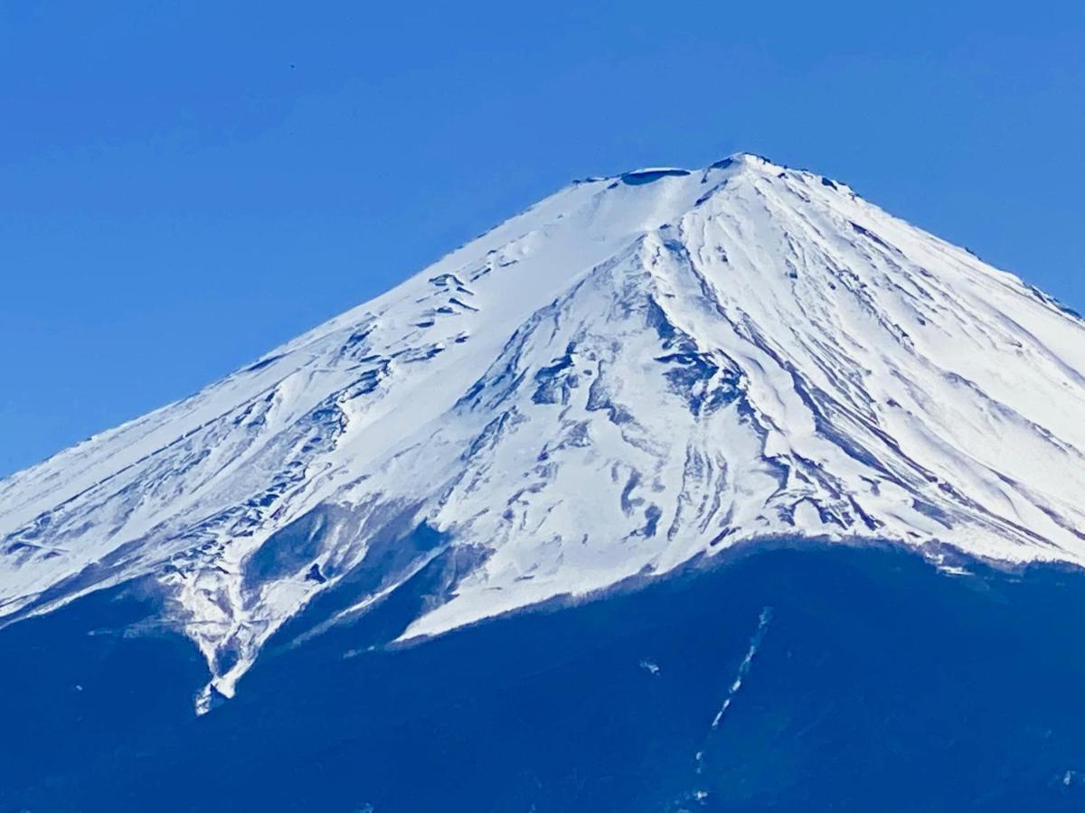 Mt Fuji Cat&Dog&Spa Pension Blue Poppy Fujikawaguchiko Exterior foto